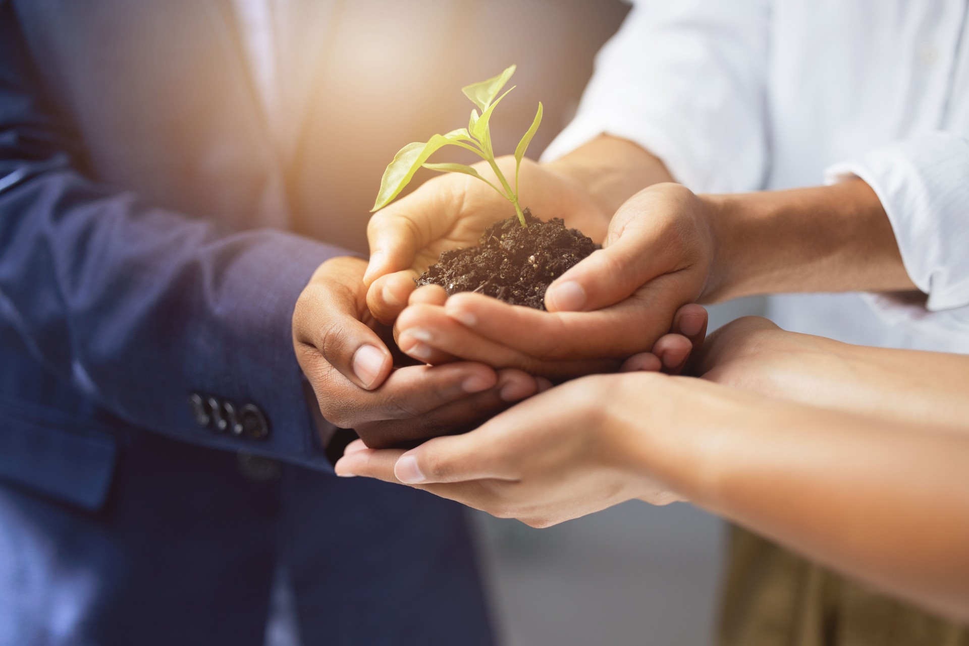 .Shot of a group of unrecognizable businesspeople holding a plant growing out of soil
